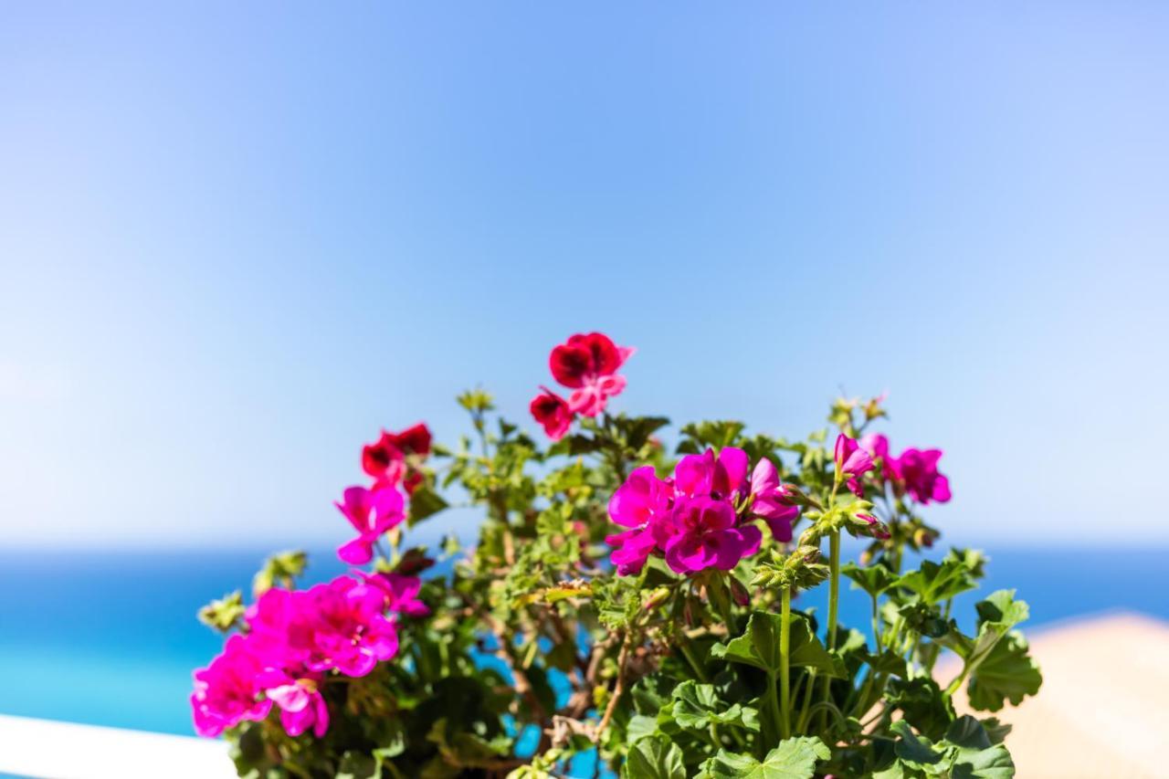 Brezza Marina Bed & Breakfast Tropea Eksteriør bilde